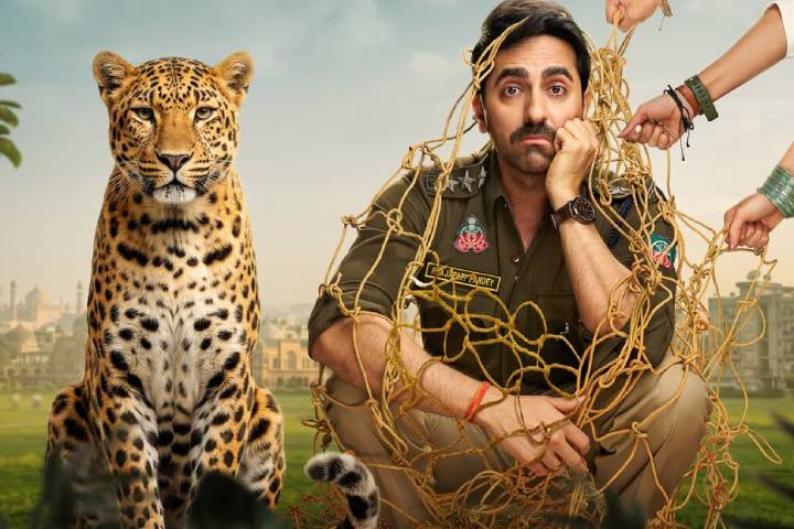Box Office Disaster: Why Ayushmann Khurrana’s ‘Pati Patni Aur Woh Do’ Failed to Create Magic on Day 1