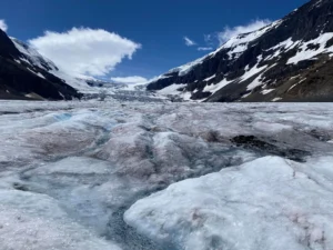 Man Dies After Falling Into Glacier Crevasse in Jasper National Park During Backcountry Trip