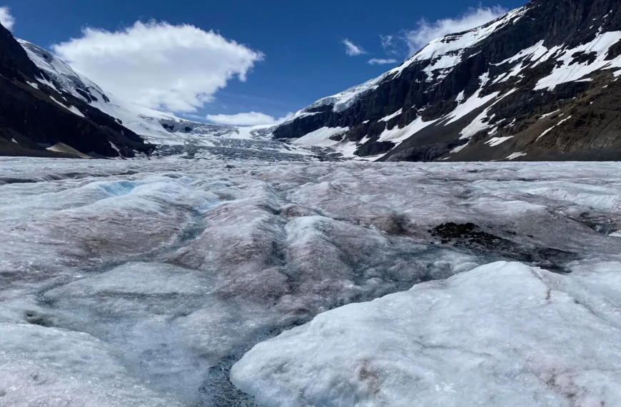 Man Dies After Falling Into Glacier Crevasse in Jasper National Park During Backcountry Trip