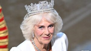 Queen Camilla Shines at State Opening of Parliament: Regal Elegance and Major Royal Updates in May 2026