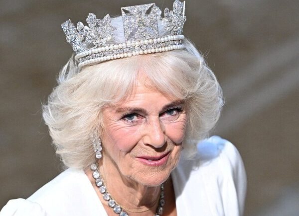 Queen Camilla Shines at State Opening of Parliament: Regal Elegance and Major Royal Updates in May 2026