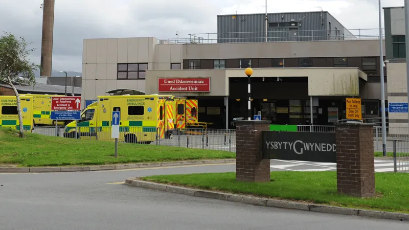 Cancer Patient Had Wrong Part of Bowel Removed After Tattoo Mix-Up in ‘Never Event’ Surgery