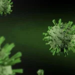 Molecular Glue Discovery: Hyderabad Scientists Uncover Secret 'Sticky' Trap Plants Use to Fight Viruses