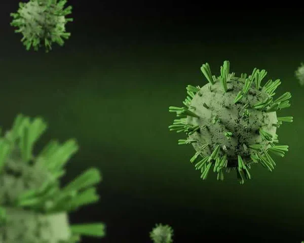 Molecular Glue Discovery: Hyderabad Scientists Uncover Secret 'Sticky' Trap Plants Use to Fight Viruses