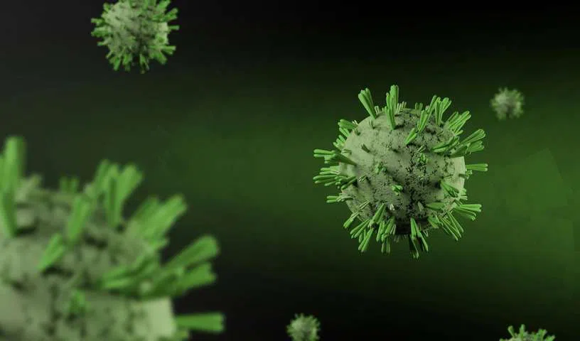 Molecular Glue Discovery: Hyderabad Scientists Uncover Secret 'Sticky' Trap Plants Use to Fight Viruses
