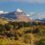 Tragic Aviation Accident: Two Dead in Mt Aspiring National Park Chartered Helicopter Crash By Sam Khan