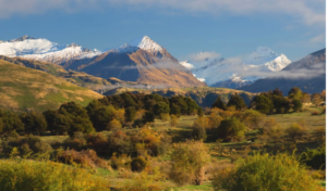 Tragic Aviation Accident: Two Dead in Mt Aspiring National Park Chartered Helicopter Crash By Sam Khan