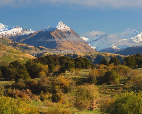 Tragic Aviation Accident: Two Dead in Mt Aspiring National Park Chartered Helicopter Crash By Sam Khan