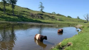 UK Braces for Hottest May Day on Record as Temperatures Could Hit 34C