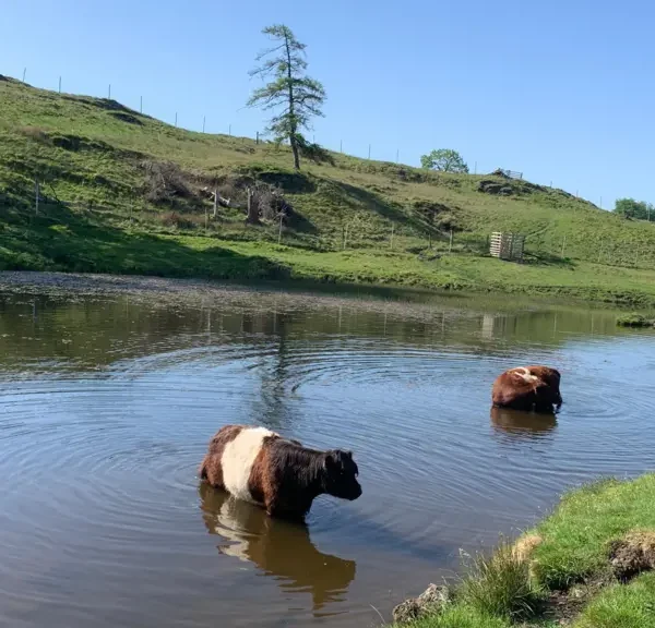 UK Braces for Hottest May Day on Record as Temperatures Could Hit 34C