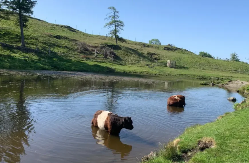 UK Braces for Hottest May Day on Record as Temperatures Could Hit 34C