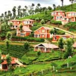 Ooty on a Budget: The Ultimate 7-Night Guide from Hyderabad (₹8,000 Per Person)