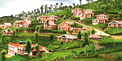 Ooty on a Budget: The Ultimate 7-Night Guide from Hyderabad (₹8,000 Per Person)