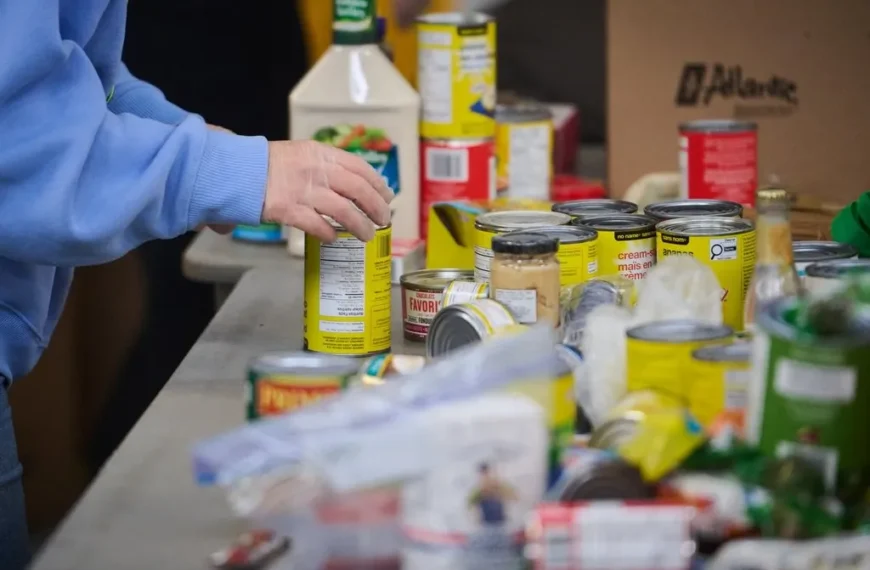 New Brunswick Announces $9 Million Support for Food Banks as Demand Reaches Record Levels