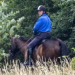 Prince Andrew Returns to Horse Riding After Reported Six-Month Restriction—But the Freedom May Be Short-Lived