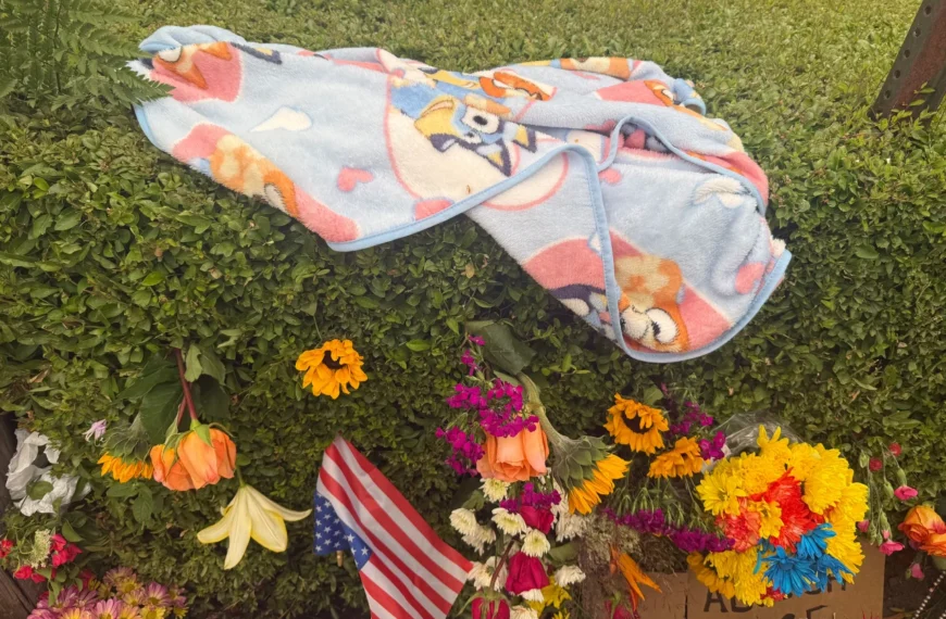 Why ICE Is Pausing Most Traffic Stops After Deadly Shootings In Maine And Texas — What It Means For Immigration Enforcement